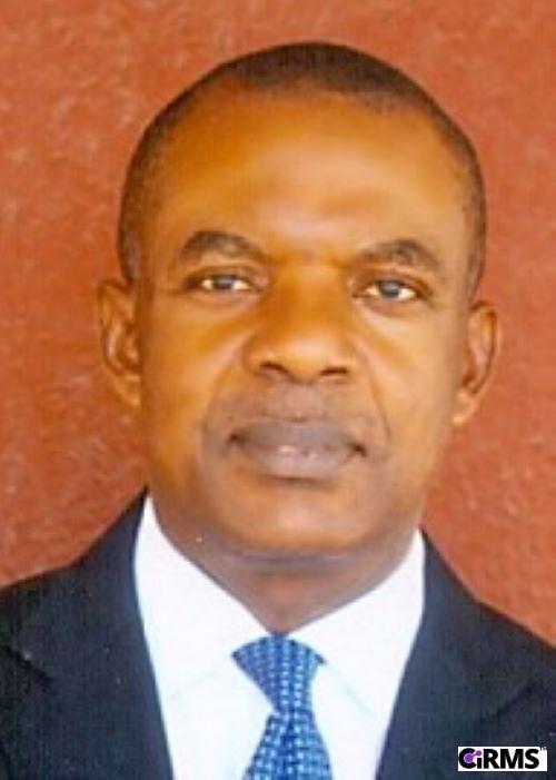 Mr. Amaefule Mark Emeremadu