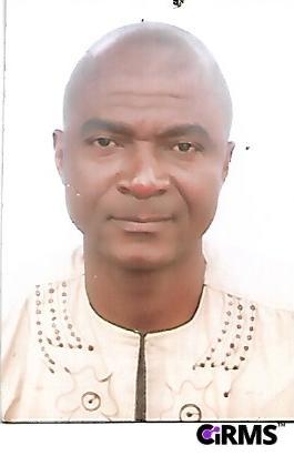 Mr. Chinekwu  Michael Iwegbuna