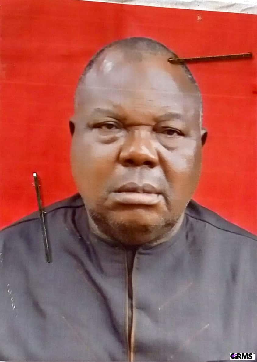 Mr. Onyebuchi  Patrick Nwosu