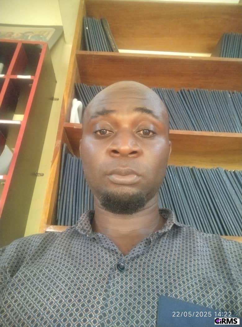 Mr. Chike  Kingsley Onwurah